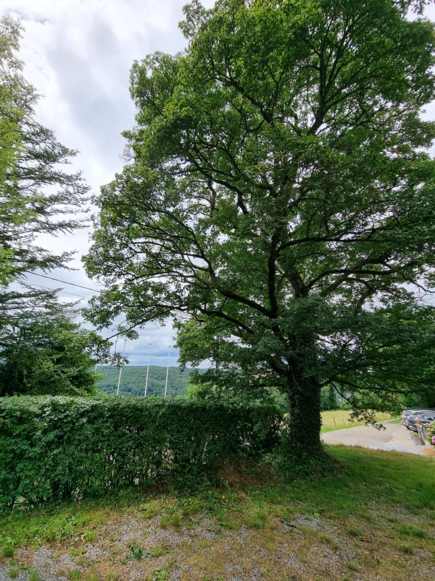 Gite 7Ici Blaimont Exteriér fotografie